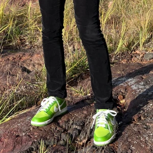 Nike dunks  - Säljer dessa helt nya Nike skor. Köpta förra veckan Köpta för 2800kr. Box finns ännu kvar. Budgivning sker vid flera bud❤️Storlek 39