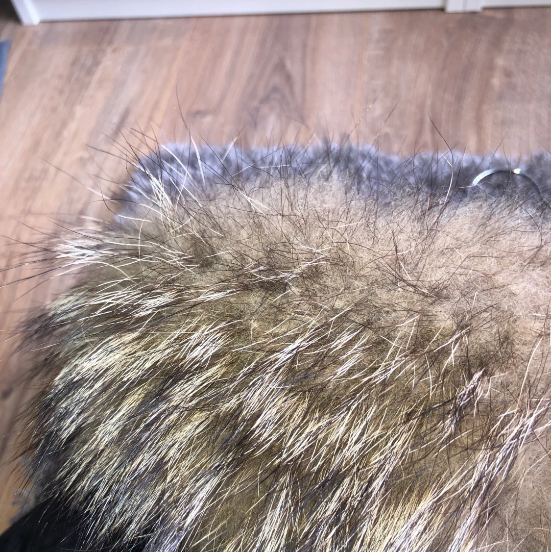 Rocken bjue Jacka - 91