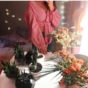 Hm blus - Så fin blus, tyvärr för liten för mig :) frakten är inkluderad. Paketpris går bra :)