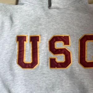 Russel Athletic  - Snygg vintage hoodie köpt secondhand, säljer denna då den inte kommer till användning. 110 + 40 kr frakt! Fler är just nu intresserade så budgivning privat, budgivningen avslutas onsdag runt 3! högsta bud just nu 180 + frakt 😁