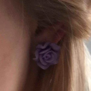  - Söta örhängen från Tyskland (vet inte butiken). 😍🥰Aldrig använt ☺️☺️ kan mötas upp i Lund annars står köparen för frakten❤️