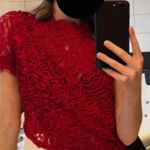  - jättesöt spetstopp med dragkedja i bak, från Zara (andra bilden är inte min dock)