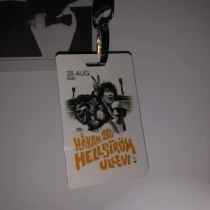 HÅKAN 2020+1  - Håkan Hellström biljett till 28 Augusti (27 Augusti 2021) Säljer pga att jag inte kan gå! Kan skicka (köparen står för frakten)