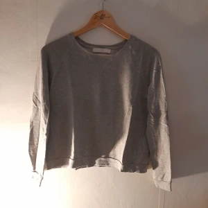 Tröja  - Grå basic men ändå fin tröja från weekday. Inga hål eller missfärgningar. Pris är diskuterbart. 