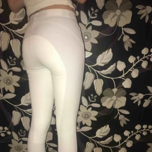  - Tävlingsridbyxor! Använd en gång   Köparen står för frakt kan ev. mötas upp i Uppsala 