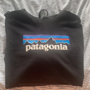 Pantagonia hoodie  - Köpt på junkjard för ca 3 månader sen,   Originalpris:899kr