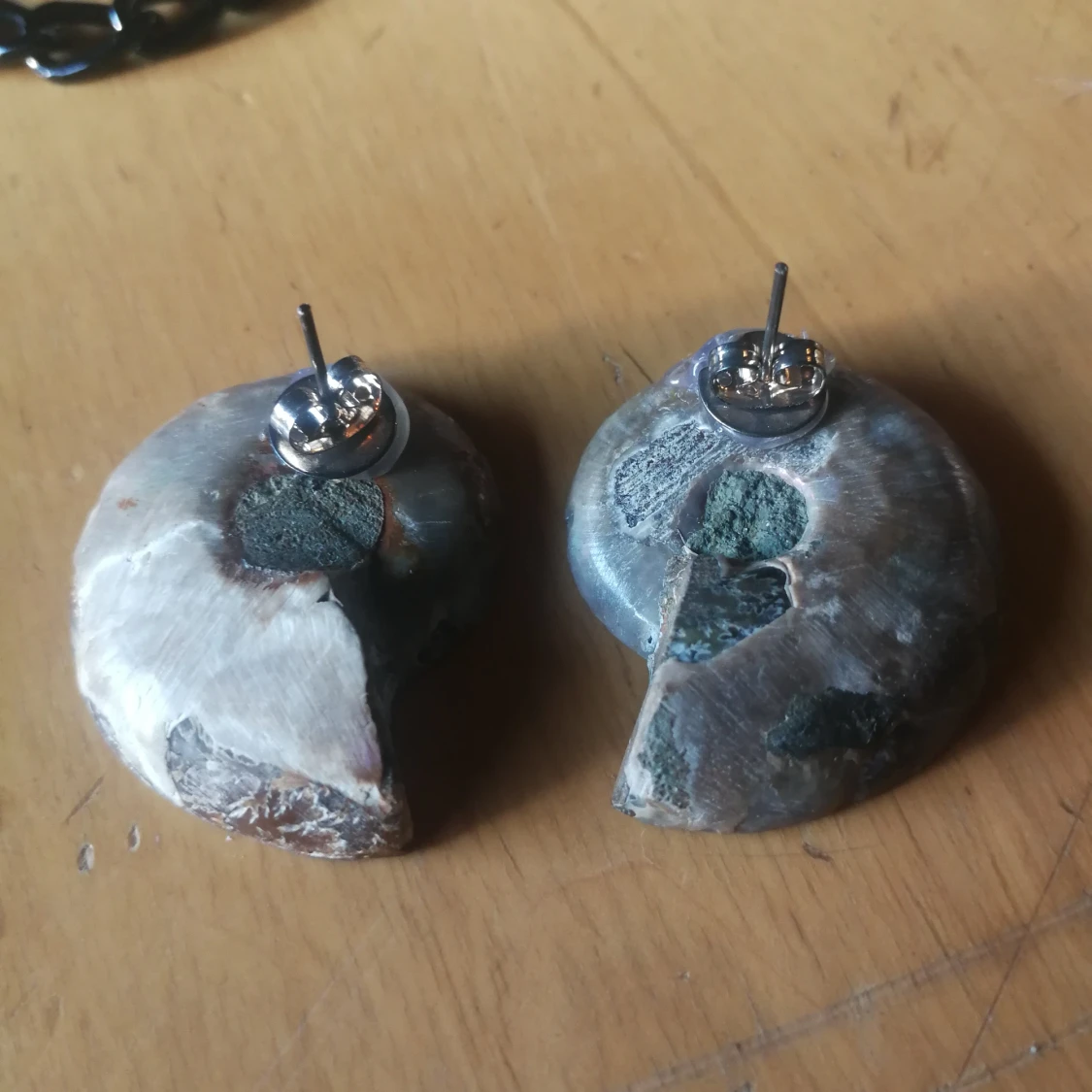 Ammonite fossil örhängen  - 90