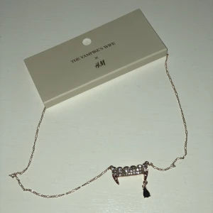 Slutsålt halsband från Vampires Wife x HM - Så snyggt halsband från Vampires Wife x HM. Köpte två så säljer därför ett. Frakt ingår i priset🧛🏻‍♀️🖤