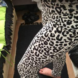 Gaderobsrensning..Ett par oanvända leggings med dragskedja med dalmatin mönster från Gina Tricot. Det är mer som M. Fast det står L.frakt är på 18kr. 