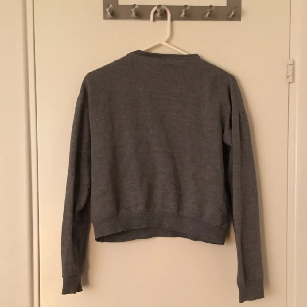Söt grå tröja från Brandy Melville i storlek S. Frakt tillkommer om du inte vill mötas upp i Stockholm! :) . Hoodies.