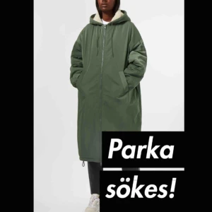  - Söker en lång parka! Gärna den som är på bilden (Weekday Petronella)