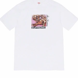 Supreme tee - Säljer min supreme tee! Aldrig använd så väldigt bra skick skriv om nu undrar nåt elle om du är intresserad! 