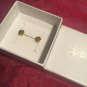  - Fina guldpläterade (silver under pläteringen) örhängen från Syster P, i gott skick! Nypris 300kr, inte mycket använda. Frakt inkluderad. ✨