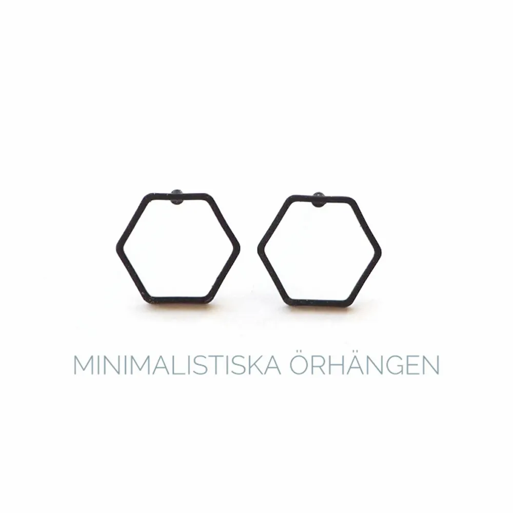 minimalistiska örhängen . Accessoarer.