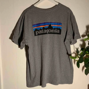  - En grå Patagonia t-shirt med litet tryck fram och stort tryck bak på ryggen! Använd ett par gånger, fint skick! 