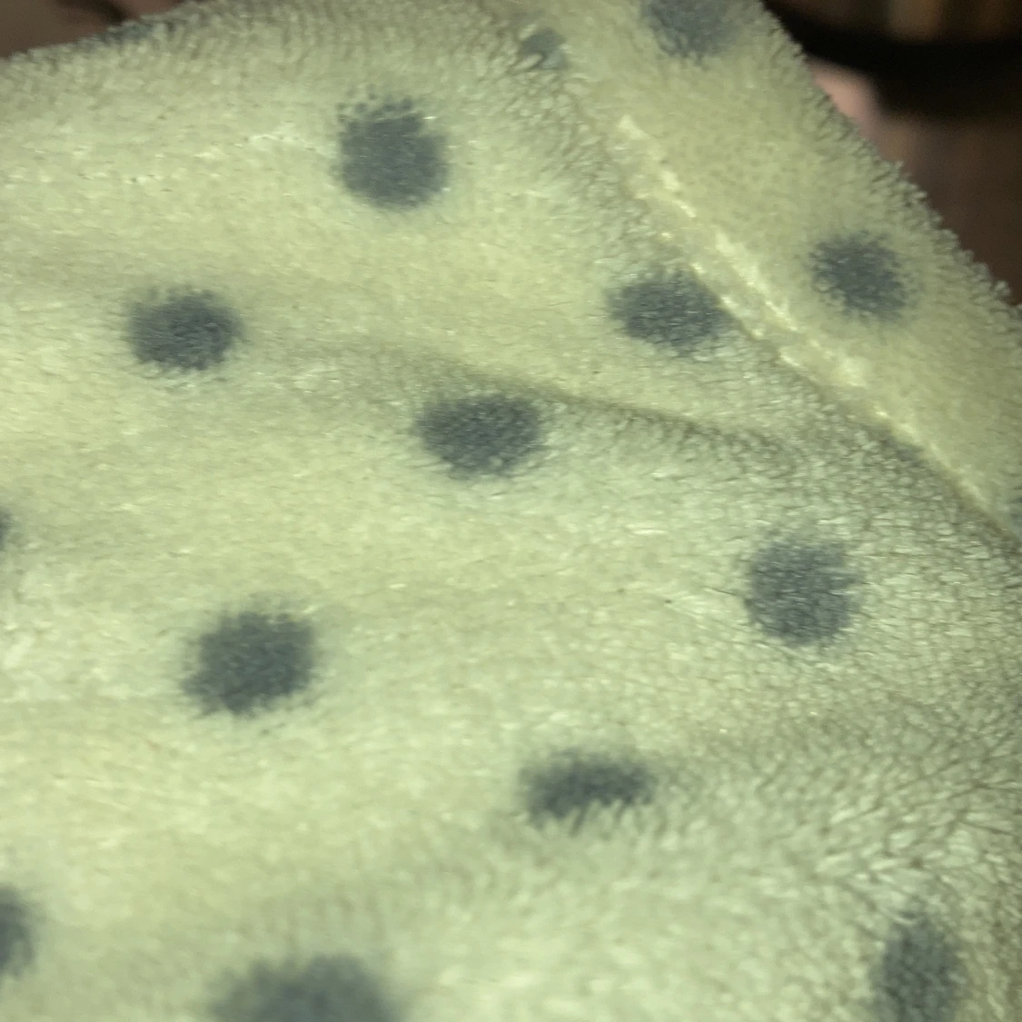 Prickig Teddy från oysho - 90