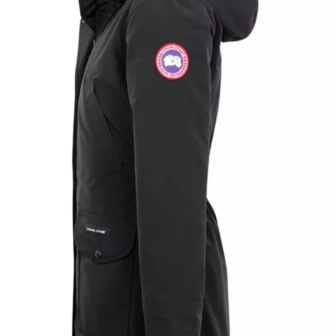 Canada goose jacka dam