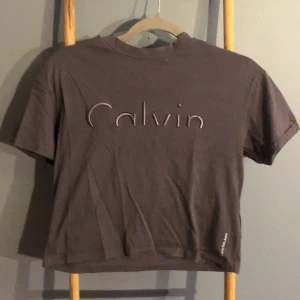 Calvin Klein jeans t-shirt  - Kroppad T-shirt från Calvin Klein med lite högre krage i storlek xs. Använd men i bra skick. Liten slitning på bokstaven ( bild). 