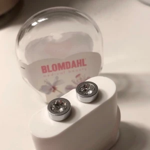 Blomdahl örhängen  - Aldrig använda. De kostar 499kr, men jag säljer de för 200kr. Kan skicka fler bilder vid intresse och köparen står för frakt.