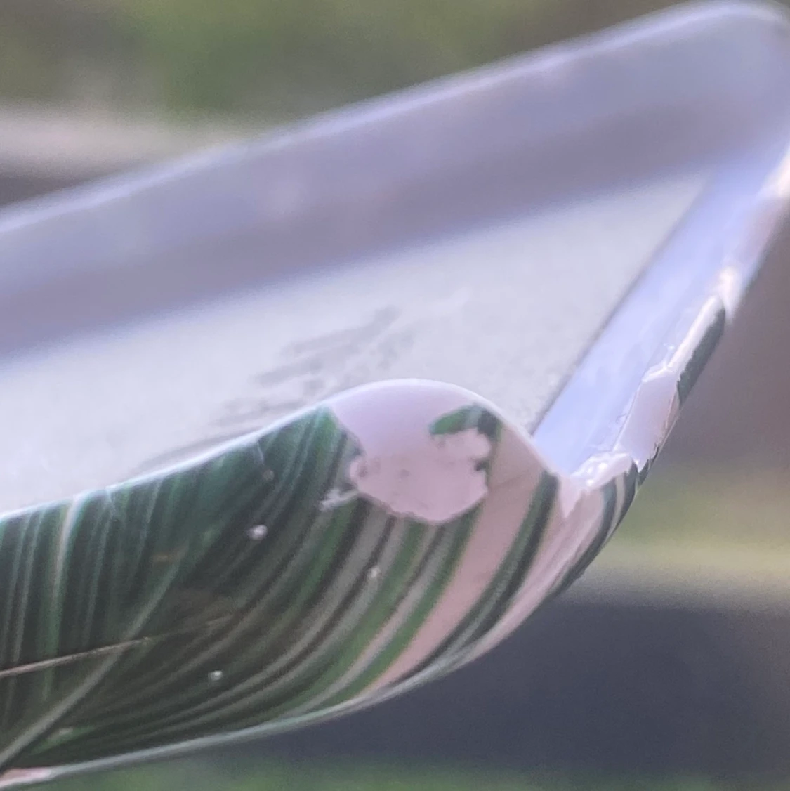 ideal of Sweden iPhone 7/8  - 91