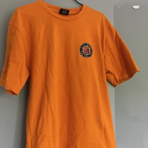 Stussy t-shirt - Orange t-shirt från STUSSY. Stussy sommar kollektion 2018. Lion. Väldigt bra skick. 
