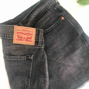  - Svart/grå jeans kjol från Levis, aldrig använd. Betalning sker via swish och köparen står för frakten.