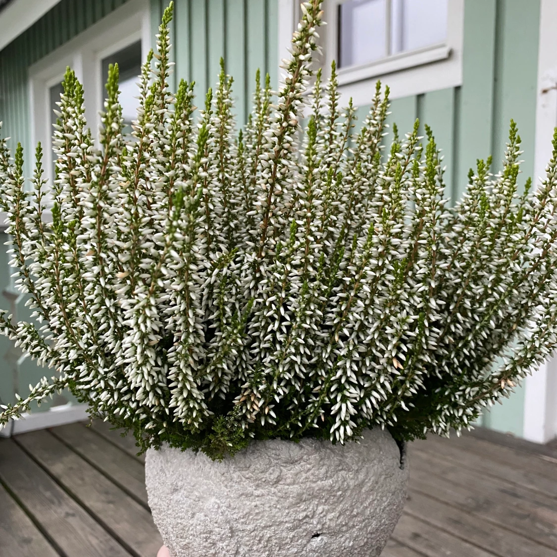 Krukor och lyktor i betong  - 90