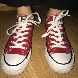 Converse Skor - Skit snygga Converse skor, köpte dom i London och använd bara en gång. Bra skick, inget fel på dem. Storlek 38
