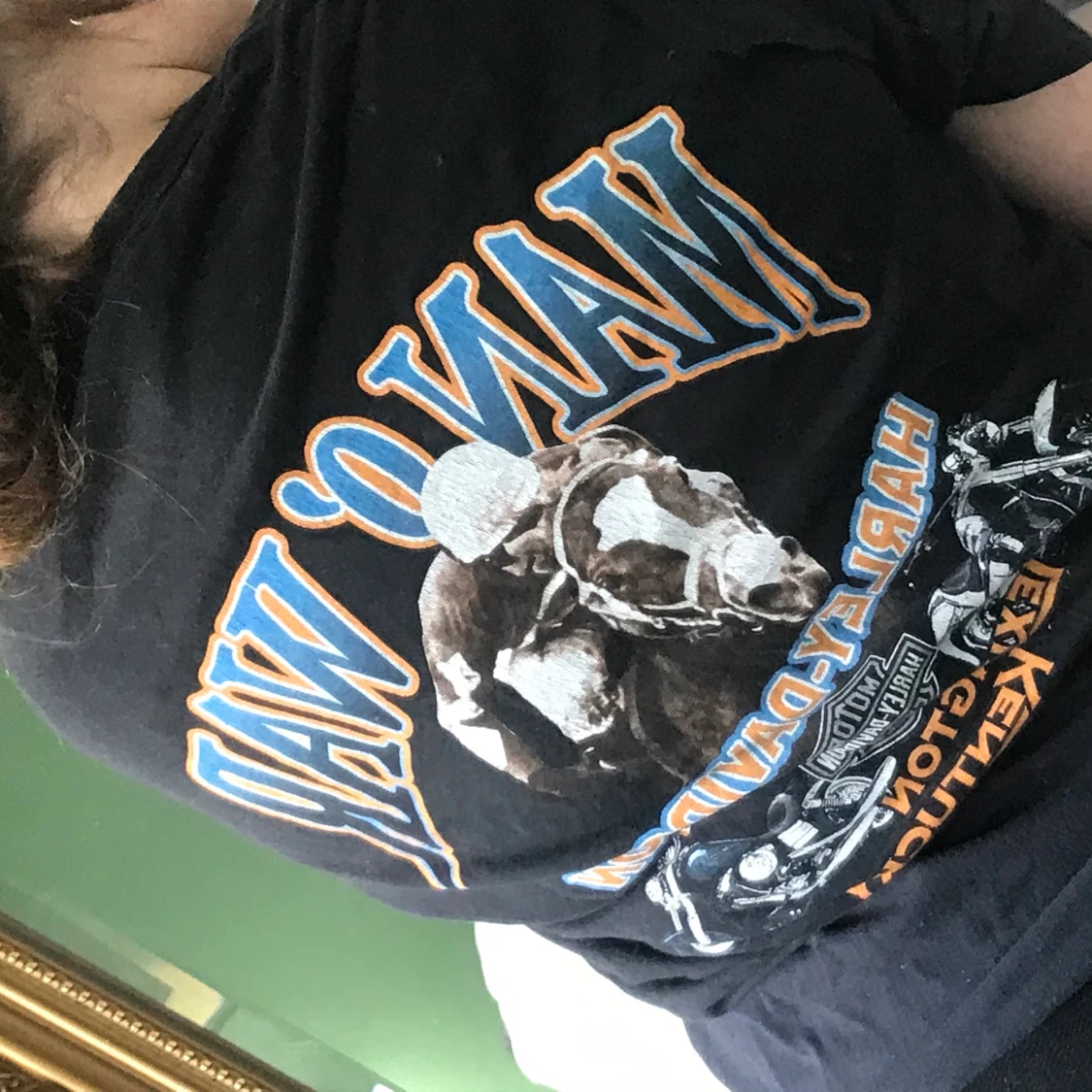 Harley-Davidson t-shirt  - 90