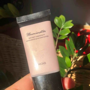  - Flytande highlight, endast testad. Super fin att antingen blanda med sin foundation för extra lyster eller applicera på kindben och näsa för en fin highlight. 