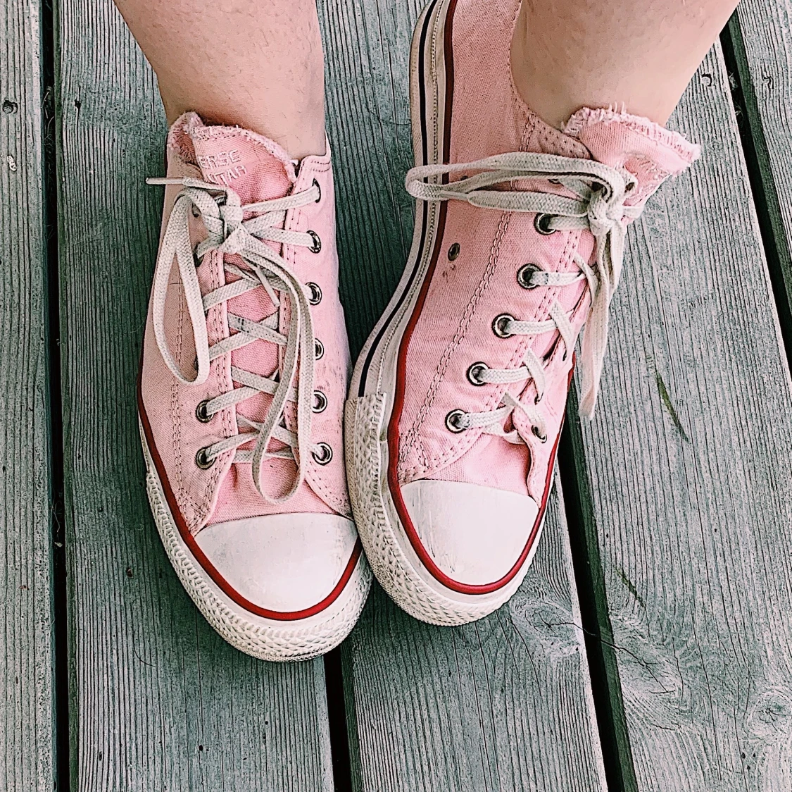 Rosa converse