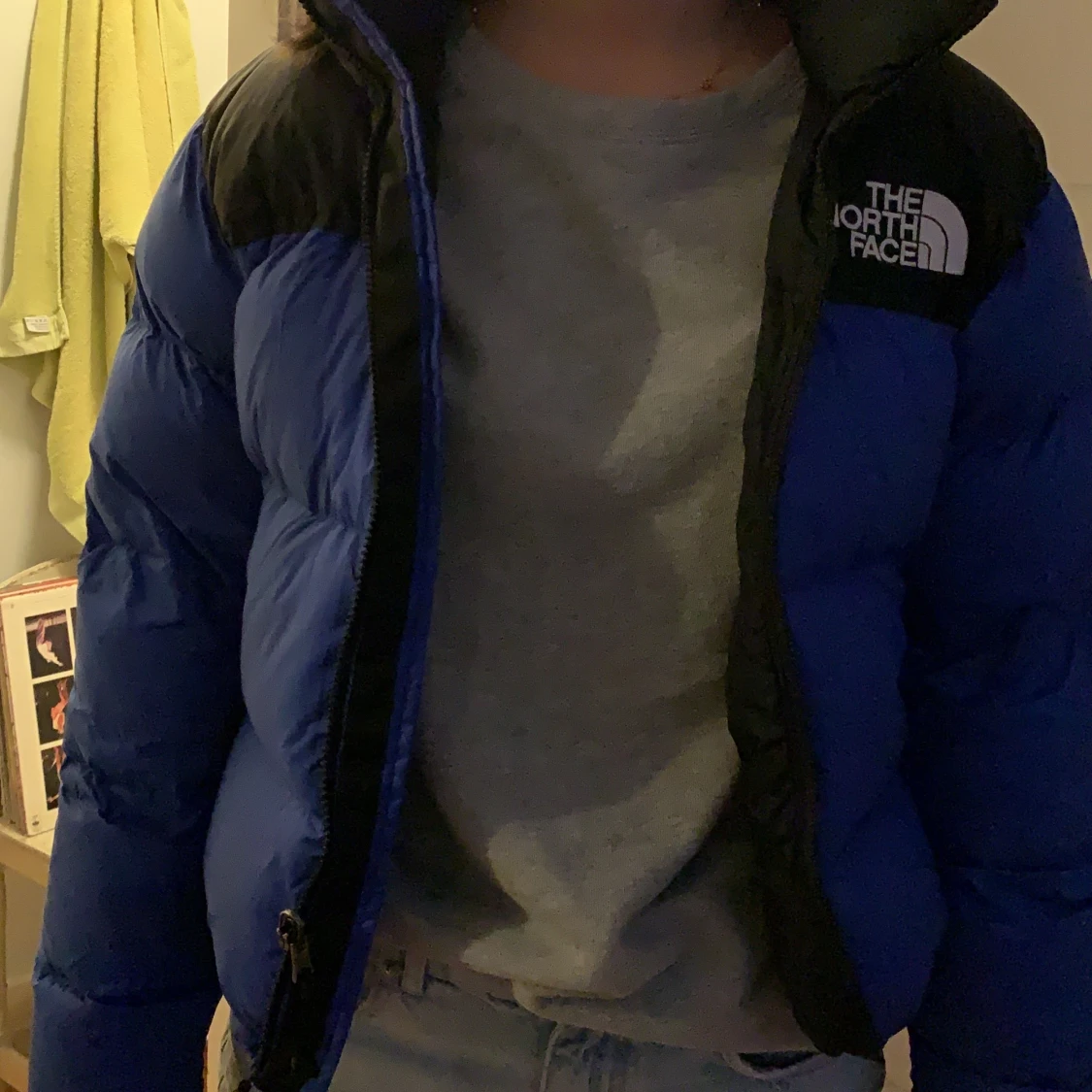North Face puffer jacket - 91