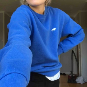  - collagetröja från brandy Melville, köpt för ca 2 år sedan men är i bra skick. Frakt tillkommer eller mötas i Sthlm!