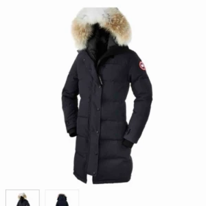  - Använde en vinter.