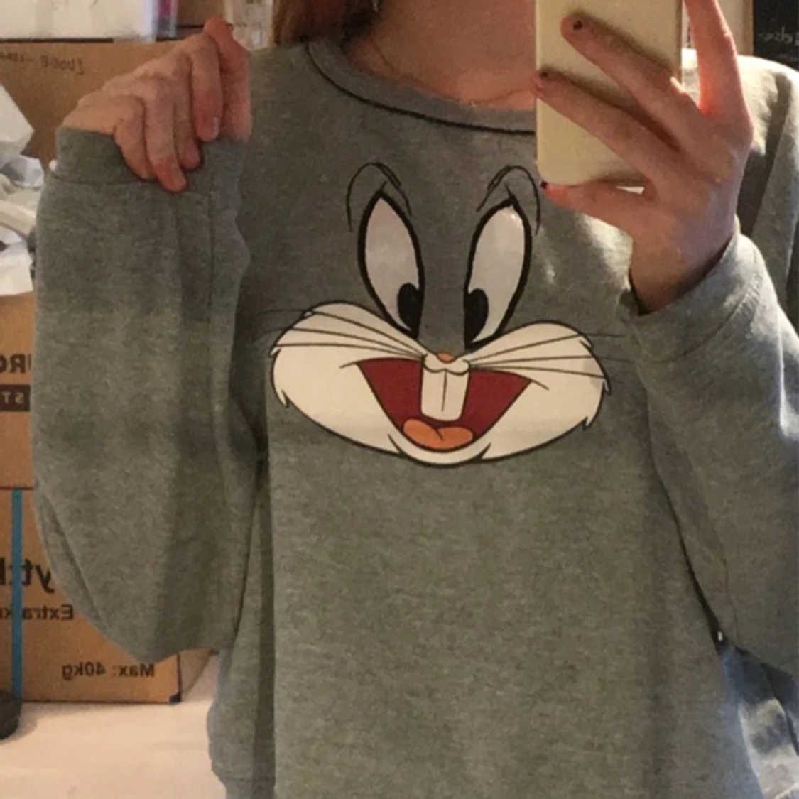 Looney Tunes hoddie