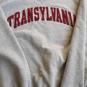 Vintage champion collegetröja  - Säljer en vintage college sweatshirt champion, fits s-m cond: endast General wear no flaws bud från 300 kr eller köp Bin för 500 plus frakt (63kr). Minsta höjning 25 kr 