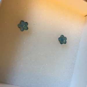  - Oanvända örhängen