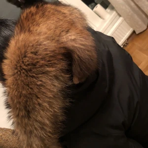  - Säljer en Äkta Canada goose vinterjacka som är använd några vintrar men är fortfarande i bra skick ✨ 