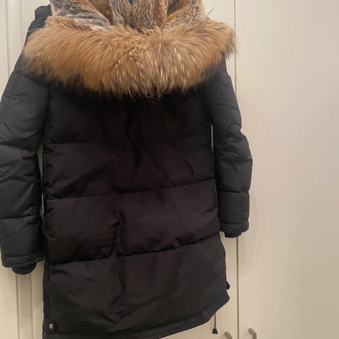 Parajumper longbear - 90