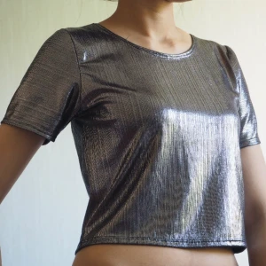  - silver croptop