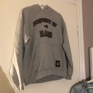 grå hoodie - jätteskön hoodie med text med sjukt mjukt material inuti. kommer inte till användning, knappt använd! det var många intresserade så kommer göra budgivning i kommentarerna, just nu: 100