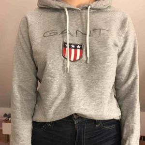  - Grå gant hoodie 