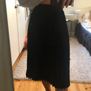 Svart ribbad kjol - Bra skick, använd en gång på en fest utan problem, ektremt skön o snygg 