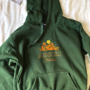Grön hoodie  - Säljer denna jätte fina gröna hoodien som är köpt i Italien, så skön och fin men lite liten för min smak🥰🥰 köparen står för frakten! Den är lite nopprig som ni ser på bildne men jag kommer att försöka fixa det innan jag skickar iväg den!