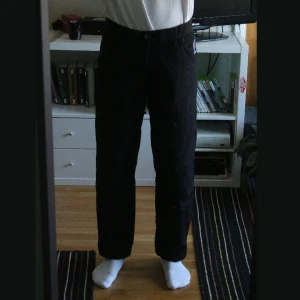 Polar skate co 93 canvas - Ascoola polar skate co 93 canvas jeans köpta för 1200kr. Använda ett par gånger och nytvättade men fortfarande riktigt fint skick! Pm för fler frågor