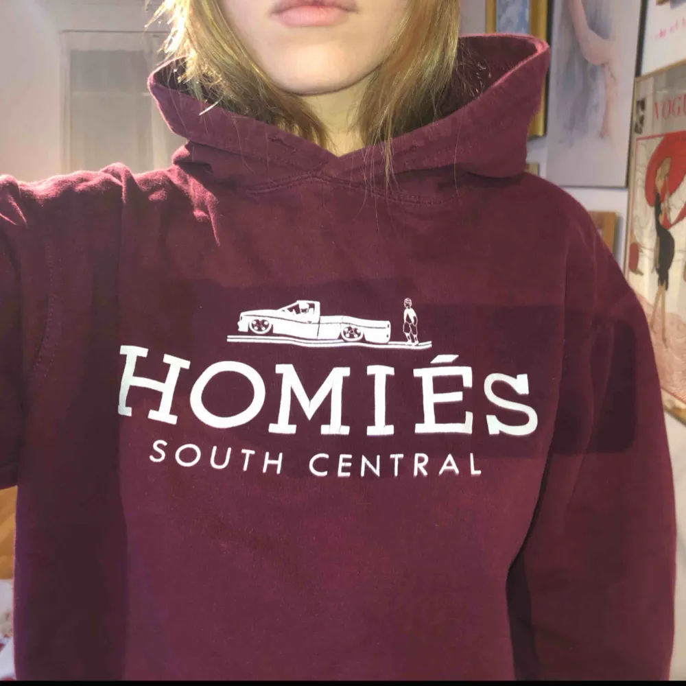 Vinröd hoodie från Homies South Centrals. Ganska välanvänd men inte trasig någonstans, snöret till luvan fattas. . Hoodies.