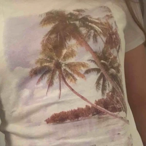  - T-shirt från Aéropostale i U.S.A. I fint skick. Köparen står för frakt