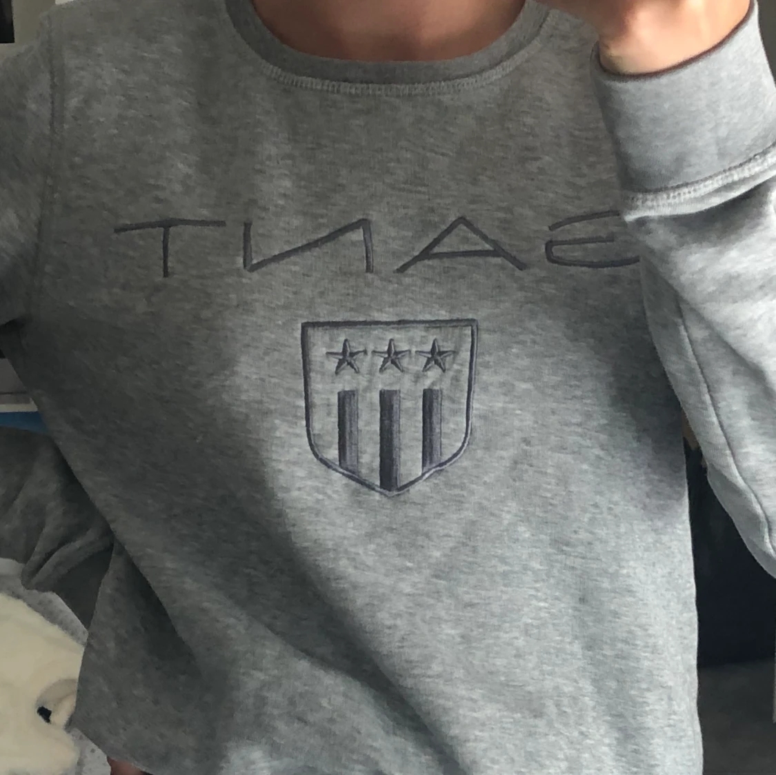 Grå Gant tröja🤍