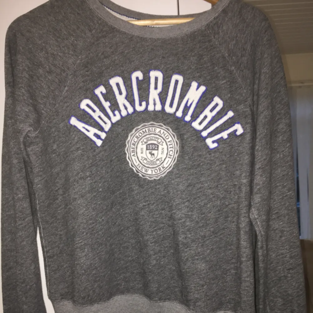 Äkta Abercrombie sweatshirt, aldrig använd.  Frakt betalas av köparen. . Tröjor & Koftor.