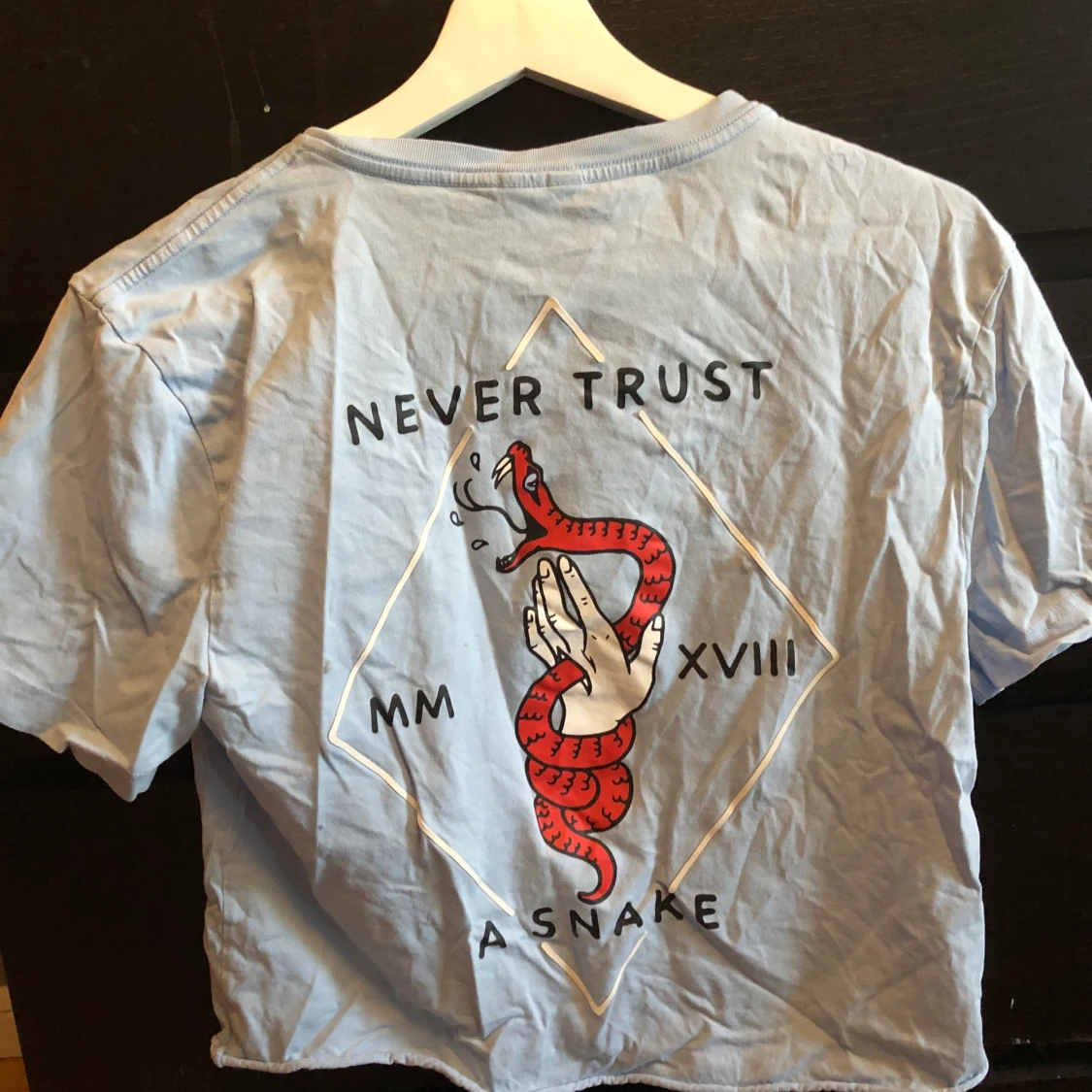 Ljusblå T-shirt med orm